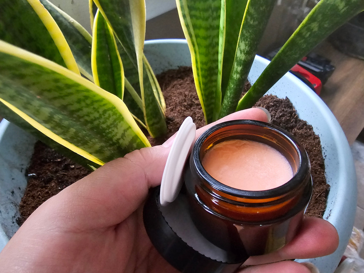 Sunshine Shea Lip Balm 1oz